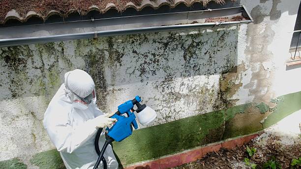 Trusted Mold Testing service in Loveland, CO - Cheap Mold Removal